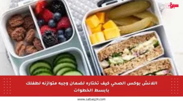 اللانش بوكس الصحي كيف تختاره لضمان وجبة متوازنة لطفلك بأبسط الخطوات